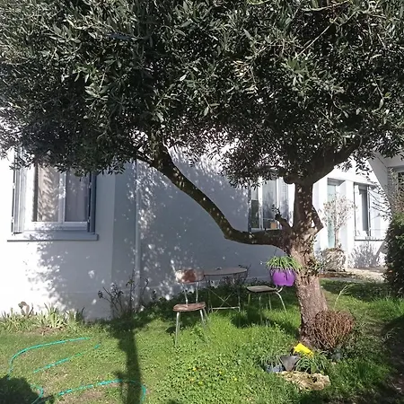Studio Independant, Avec Piscine Et Jardin, Direct Gare Aeroport, 1 Lit Pour 2 Personnes Direct Gare Aeroport アパート トゥールーズ