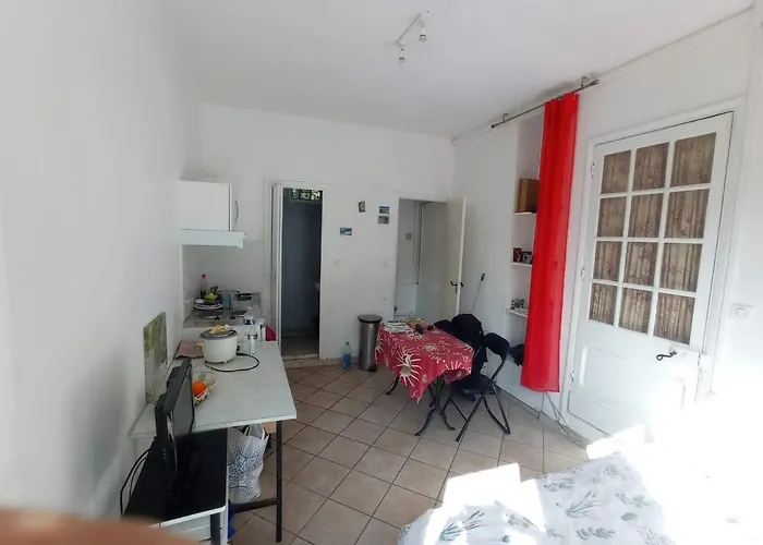Apartman Independant, Avec Piscine Et Jardin, Direct Gare Aeroport, 1 Lit Pour 2 Personnes Direct Gare Aeroport Toulouse
