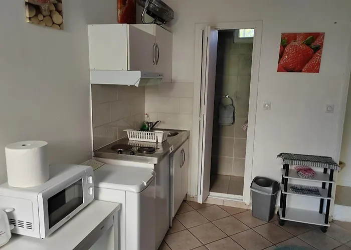 Independant, Avec Piscine Et Jardin, Direct Gare Aeroport, 1 Lit Pour 2 Personnes Direct Gare Aeroport *